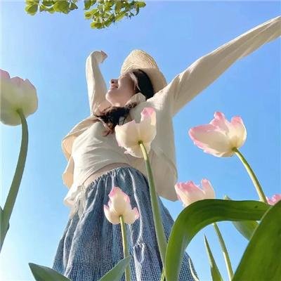 迷局之拨云见日