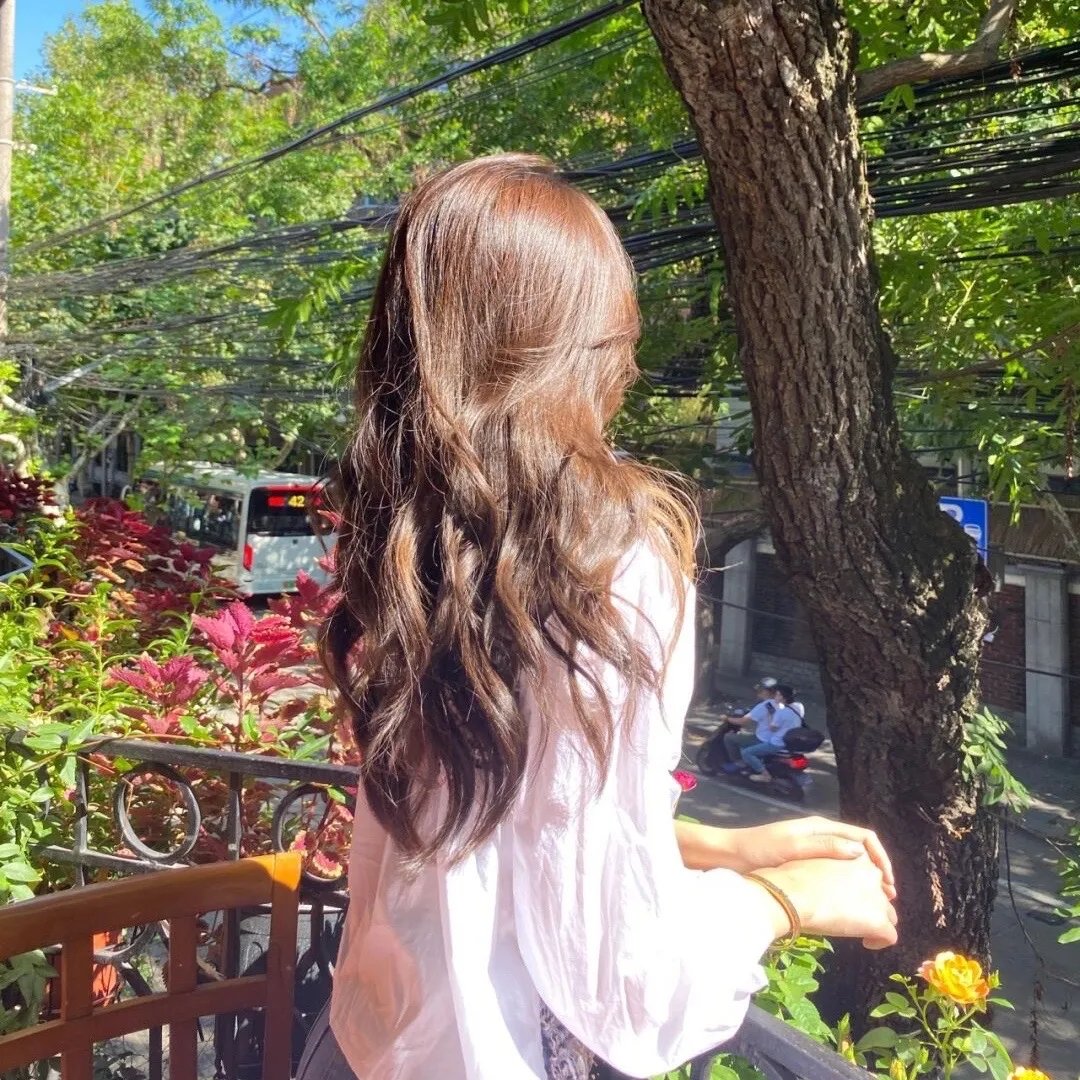 寻找葛莉丝